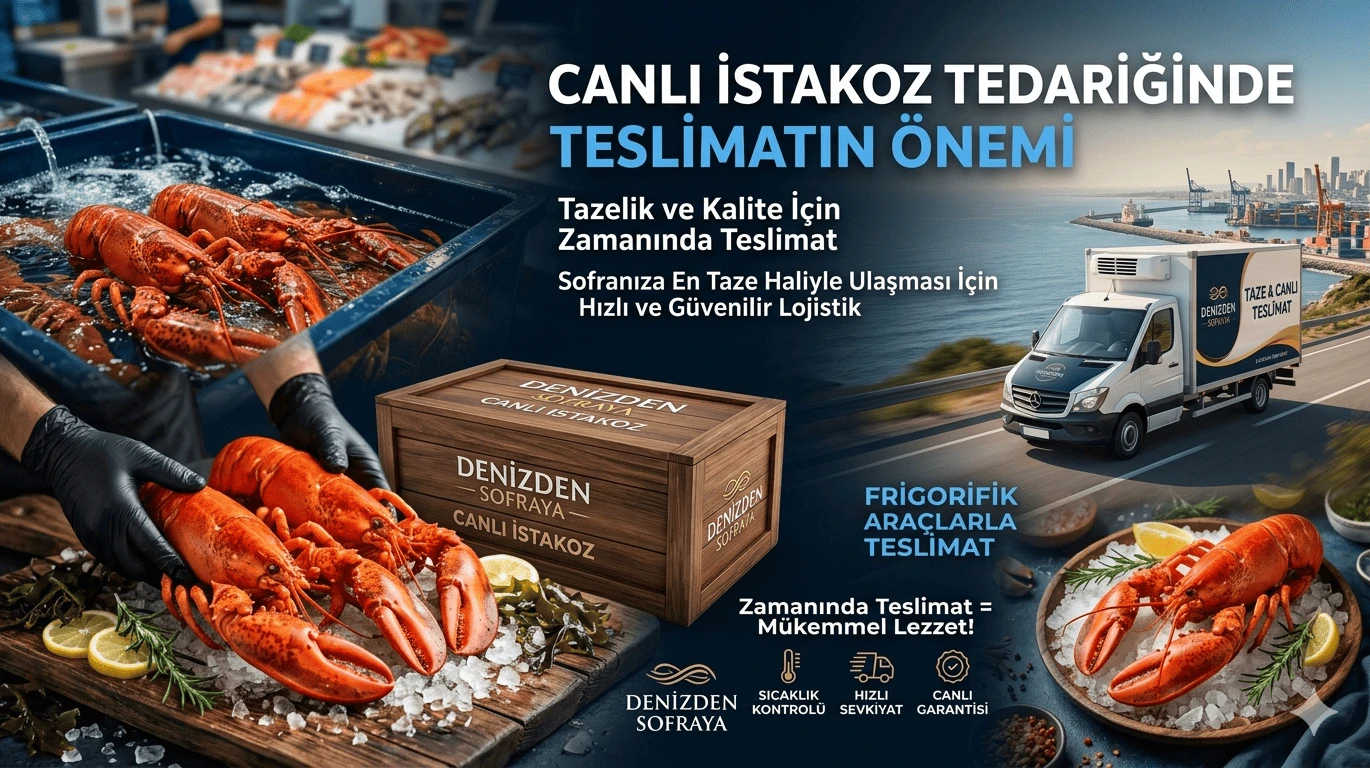 Canlı ıstakoz Tedariğinde Teslimatın önemi. ait görsel